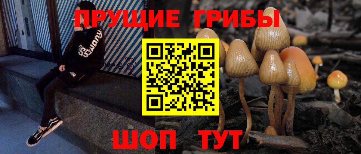 Саянск  Галлюциногенные грибы GOLDEN TEACHER  Вход с VPN 